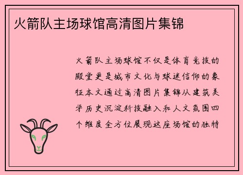 火箭队主场球馆高清图片集锦